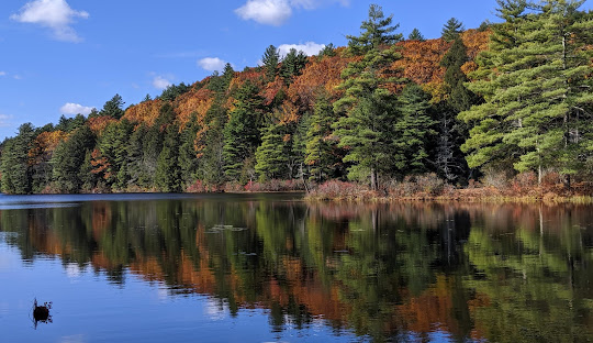 Painting Services - Tolland County, CT